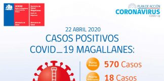 covid-19 Magallanes