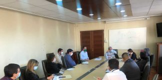 red asistencial por pandemia