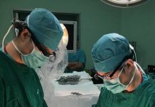 Lentes Inteligentes para Asistencia Remota en Salud