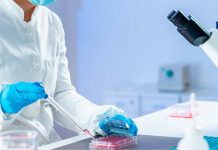 Las innovadoras apuestas de dos de las empresas biotech seleccionadas por convocatoria de “Startup Ciencia”