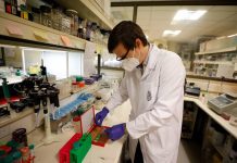 Científicos chilenos establecen relación  entre Virus Herpes Simple y Esclerosis Múltiple
