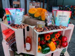 En el Día de la Cocina Chilena, autoridades destacan el aporte de los alimentos ancestrales saludables