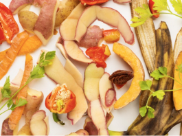 Académicos y estudiantes de la carrera de Nutrición y Dietética UC INVESTIGAN sobre redistribución de excedentes de frutas y hortalizas EN hogares de beneficencia