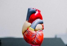 Mes del Corazón: Enfermedad del Nodo Sinusal: cuando falla el marcapasos natural del corazón