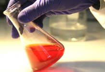 Vacuna terapéutica contra el cáncer de vesícula desarrollada en Chile comienza pruebas en pacientes 