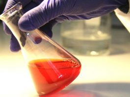 Vacuna terapéutica contra el cáncer de vesícula desarrollada en Chile comienza pruebas en pacientes 