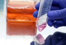 Colaboración científica contra el cáncer de vesícula biliar