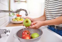 ACADÉMICA DE LA CARRERA DE NUTRICIÓN UC ALERTA SOBRE AUMENTO EN MÁS DE UN 30% EN LOS NÚMEROS DE BROTE POR SALMONELLA ENTRE LOS AÑOS 2015 Y 2019