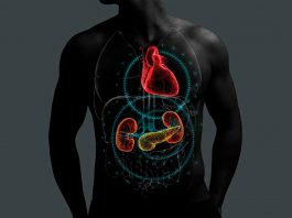 En marzo se conmemora el día mundial del Riñón: El estrecho vínculo entre la Enfermedad Renal Crónica y otras patologías