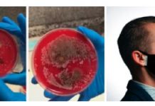 Mascarillas de uso múltiple permiten reducir impacto ambiental en este regreso a clases y al trabajo Mascarillas de uso múltiple permiten reducir impacto ambiental