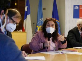 Minsal atención de salud