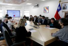 Ministra de Salud recibe Primer Informe Comisión Ciudadana de Vigilancia y Control de Ley Ricarte Soto Control de Ley Ricarte Soto