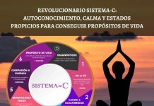 Sistema-C La terapia para lograr estados de calma y control emocional