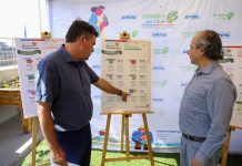 Ministerio de Agricultura recomienda carnes blancas, verduras y frutos rojos para cenas de fin de año Ministerio de Agricultura recomienda carnes blancas, verduras y frutos rojos para cenas de fin de año