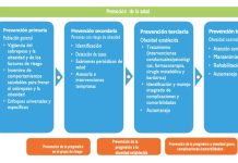 Organización Mundial de la Salud (OMS): Define Marco de Prestación de Servicios Sanitarios para la Prevención y el Tratamiento de la Obesidad.