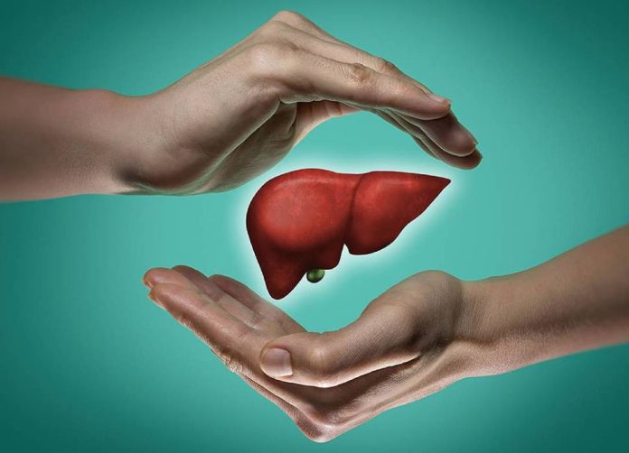 Cuidando tu hígado: ¡Dale amor a ese órgano tan importante!. cuidado del hígado