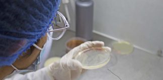 Biotech de mujeres emprendedoras lidera la producción de microorganismos en el país