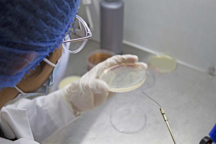 Biotech de mujeres emprendedoras lidera la producción de microorganismos en el país