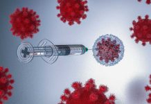 Especialistas entregan recomendaciones para evitar contagios por Sarampión 