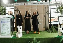 ¿Qué falta para eliminar la experimentación animal en la industria cosmética de Chile?