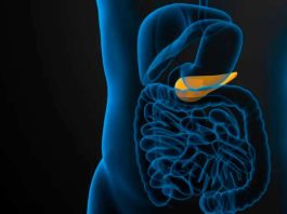 La innovación de IA de Mayo Clinic brinda esperanza en la detección temprana del cáncer de páncreas