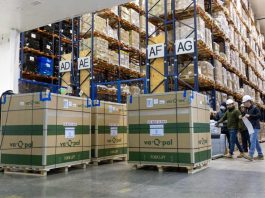 Llega a Chile el primer cargamento de nueva vacuna  monovalente contra el COVID-19 