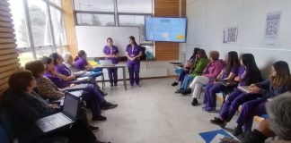 Cuidado físico y nutricional del adulto mayor y Prevención de la obesidad infantil son parte de nuevos proyectos del programa Redes Territoriales de Investigación de Ulagos