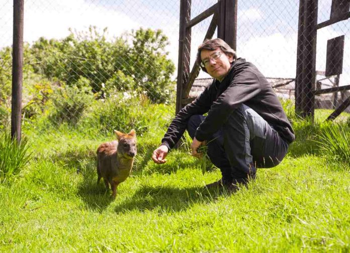 Se abren las postulaciones para encontrar a los Nuevos Héroes que sucederán al “Doctor Pudú”