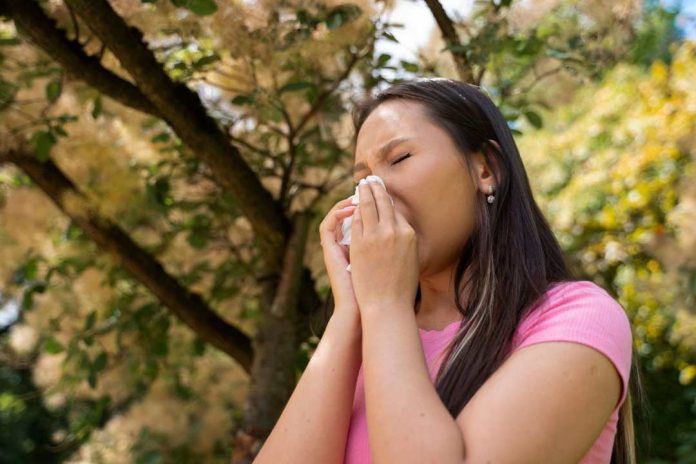 Cómo reconocer la alergia primaveral y combatir sus síntomas