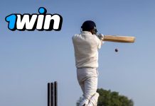 Claves del Éxito en las Apuestas de Críquet en 1Win