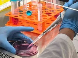 Piel sintética: El esperanzador avance biomédico para el tratamiento de quemados