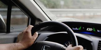 Primavera al volante Consejos para conducir sin que las alergias te frenen