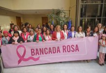 Parlamentarias conforman “Bancada Rosa” para abordar brechas en diagnóstico y tratamiento del cáncer en mujeres