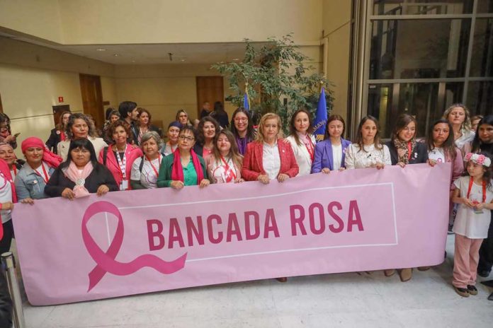 Parlamentarias conforman “Bancada Rosa” para abordar brechas en diagnóstico y tratamiento del cáncer en mujeres