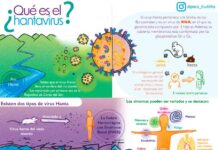 Investigadores de la Universidad Austral y Fundación Ciencia & Vida avanzan hacia una terapia innovadora contra el hantavirus