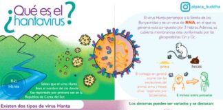 Investigadores de la Universidad Austral y Fundación Ciencia & Vida avanzan hacia una terapia innovadora contra el hantavirus