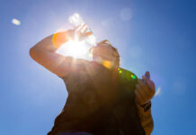 Qué hacer frente a una ola de calor