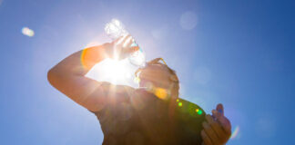 Qué hacer frente a una ola de calor