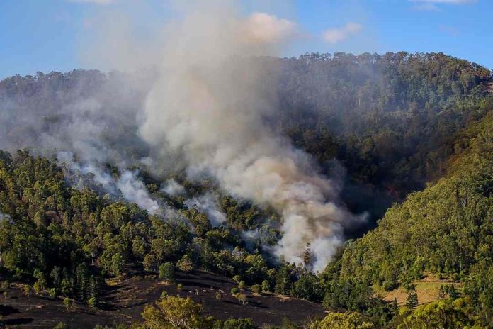 Cuidado con los incendios Los efectos nocivos para la salud