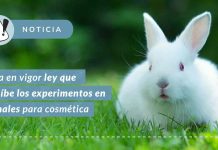 Entra en vigor ley que prohíbe los experimentos en animales para cosméticos en el país