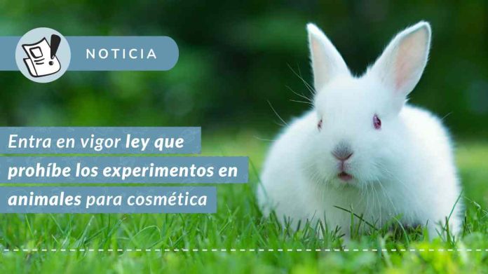 Entra en vigor ley que prohíbe los experimentos en animales para cosméticos en el país