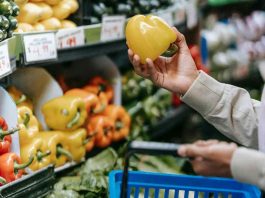 Altas temperaturas y alimentos: Evita intoxicaciones por comida en mal estado
