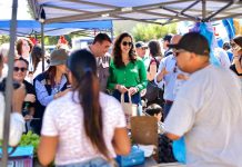 Ministra (s) de Salud entrega recomendaciones sanitarias en feria libre de Rancagua