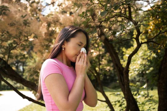 No solo en primavera 5 consejos para combatir las alergias de verano