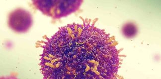 Sarampión: conoce más del virus que tiene en alerta a Argentina, Estados Unidos, Europa y Asia central 