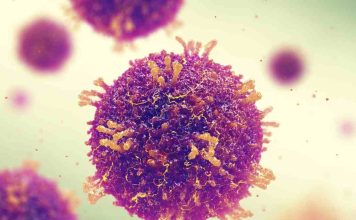 Sarampión: conoce más del virus que tiene en alerta a Argentina, Estados Unidos, Europa y Asia central 