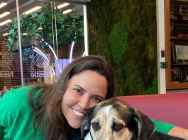 Un año de perritos en la oficina: La iniciativa que está mejorando la salud mental en el trabajo