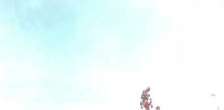 Investigación chilena devela el papel de una proteína clave en la audición de los mamíferos