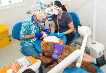 Ansiedad de niños frente a procedimientos dentales disminuye un 65% gracias a perros de asistencia