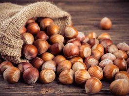 Avellanas: ¿por qué y cómo consumir el fruto seco de moda?